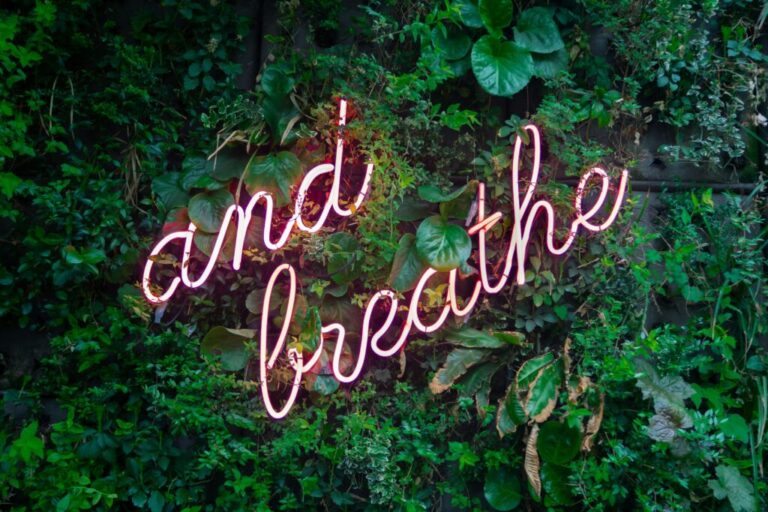 a neon sign which reads and breathe, against a background of green foliage